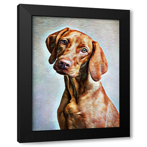 Hungarian Vizsla Adoration Black Modern Wood Framed Art Print by Aldridge, Ashley