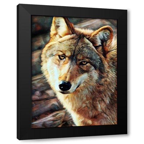 Gray Wolf Glare Black Modern Wood Framed Art Print with Double Matting by Aldridge, Ashley