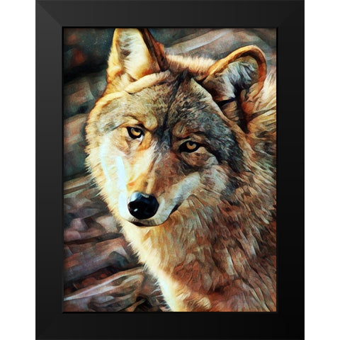 Gray Wolf Glare Black Modern Wood Framed Art Print by Aldridge, Ashley