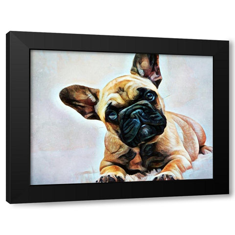 Fawn French Bulldog Puppy Pose Black Modern Wood Framed Art Print by Aldridge, Ashley
