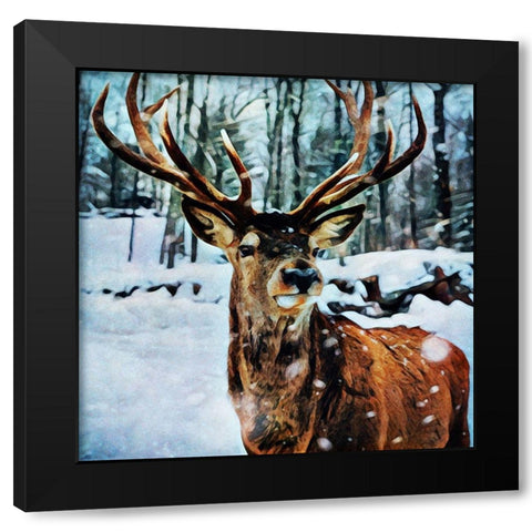 A Little Snow Here Reindeer Black Modern Wood Framed Art Print by Aldridge, Ashley