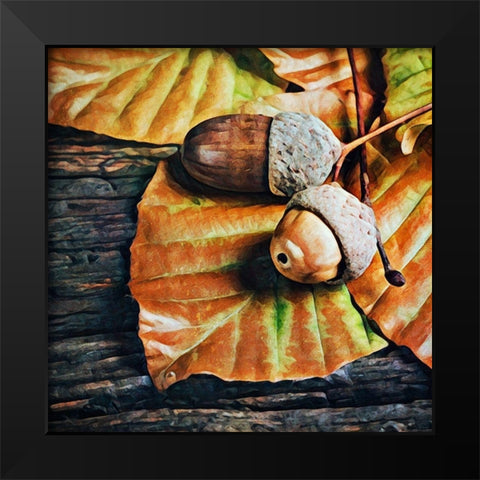 Autumn Acorns Black Modern Wood Framed Art Print by Aldridge, Ashley