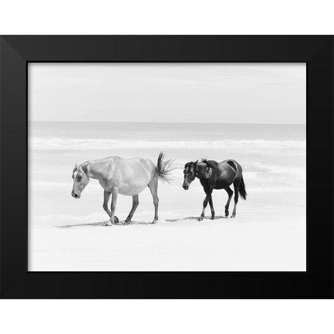 Beach Horse Duo Black Modern Wood Framed Art Print by Curinga, Kim