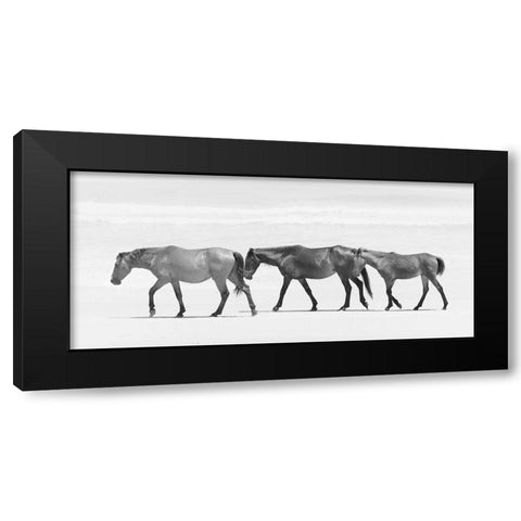 Beach Horse Trio Black Modern Wood Framed Art Print by Curinga, Kim