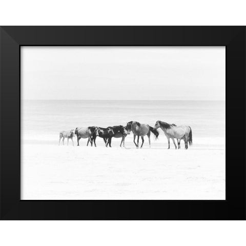 Corolla Beach Horses Black Modern Wood Framed Art Print by Curinga, Kim