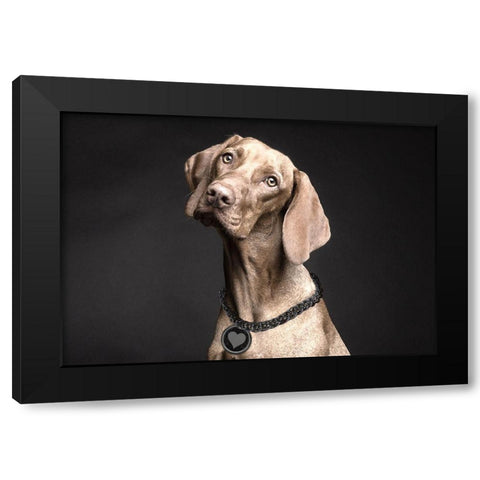 Blessed Black Modern Wood Framed Art Print by Smith, Karen