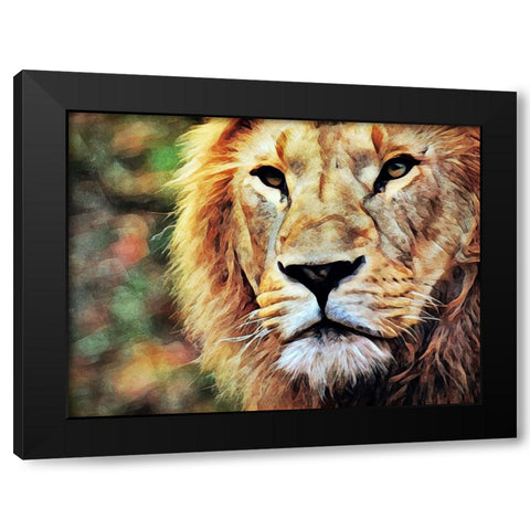 Lion Watch And Wait Black Modern Wood Framed Art Print with Double Matting by Aldridge, Ashley