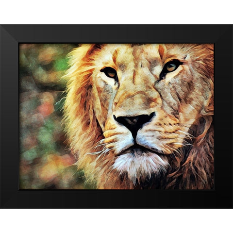 Lion Watch And Wait Black Modern Wood Framed Art Print by Aldridge, Ashley