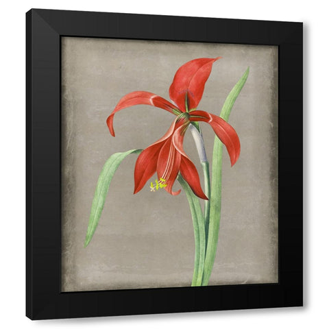Inthered II Black Modern Wood Framed Art Print with Double Matting by Smith, Karen