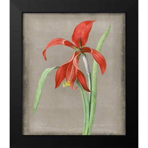 Inthered II Black Modern Wood Framed Art Print by Smith, Karen
