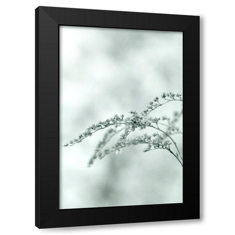 Meadow Black Modern Wood Framed Art Print by Stalus, Judy