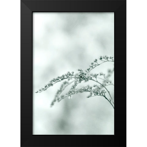Meadow Black Modern Wood Framed Art Print by Stalus, Judy