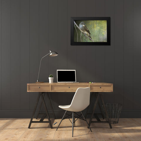 Western Wood Peewee Black Modern Wood Framed Art Print by Vest, Christopher
