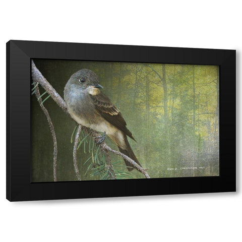 Western Wood Peewee Black Modern Wood Framed Art Print with Double Matting by Vest, Christopher