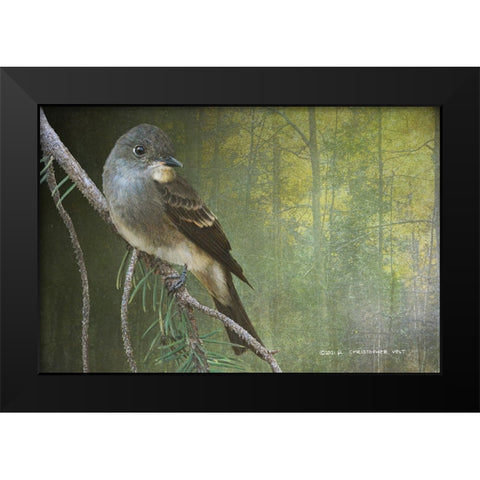 Western Wood Peewee Black Modern Wood Framed Art Print by Vest, Christopher