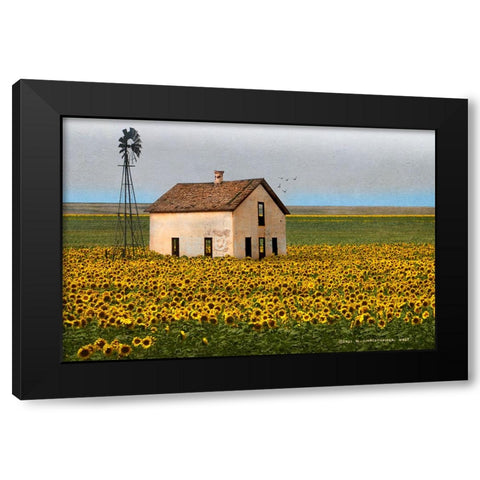 White House with Sunflowers Black Modern Wood Framed Art Print with Double Matting by Vest, Christopher
