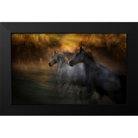 Duel Black Modern Wood Framed Art Print by Malovrh, Milan