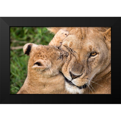 Mother Love Black Modern Wood Framed Art Print by Catta, Alessandro