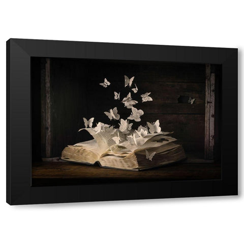 Lepidopterology Black Modern Wood Framed Art Print with Double Matting by Bonadio, Heather