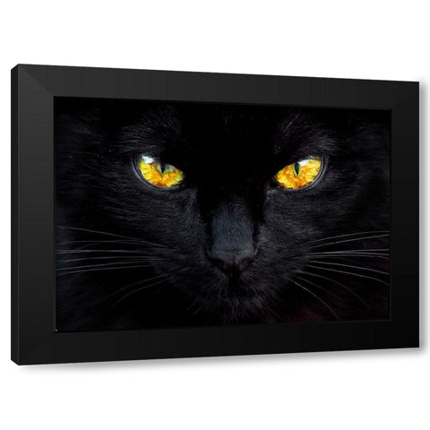 The hypnotist of the night Black Modern Wood Framed Art Print with Double Matting by Valverde, Ferdinando