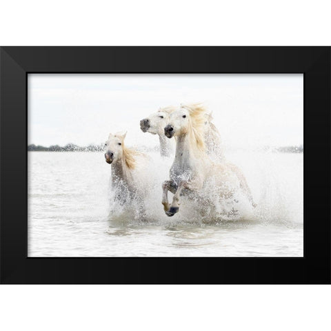 Horses hight key Black Modern Wood Framed Art Print by De Simone, Ciro