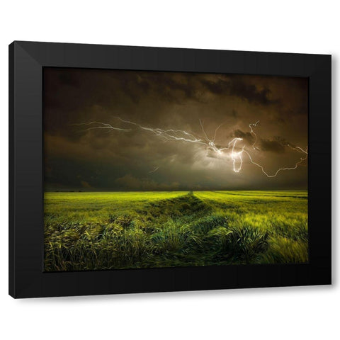 Electrically in Summer Black Modern Wood Framed Art Print by Schumacher, Nicolas