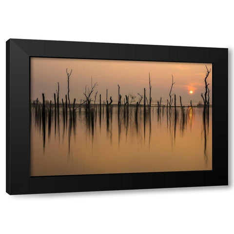 drowned forest Black Modern Wood Framed Art Print by Haaksma, Piet