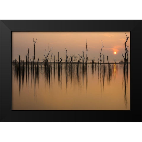 drowned forest Black Modern Wood Framed Art Print by Haaksma, Piet
