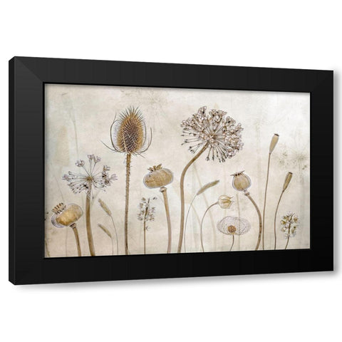 Growing old Black Modern Wood Framed Art Print with Double Matting by Disher, Mandy