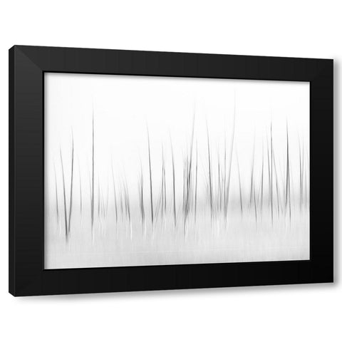 Wintry scenery in Yellowstone Black Modern Wood Framed Art Print with Double Matting by Lai, Charles