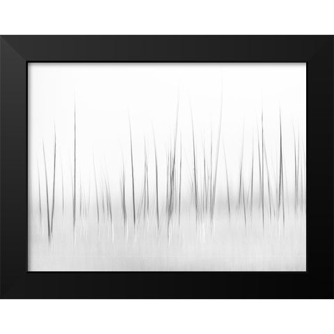 Wintry scenery in Yellowstone Black Modern Wood Framed Art Print by Lai, Charles