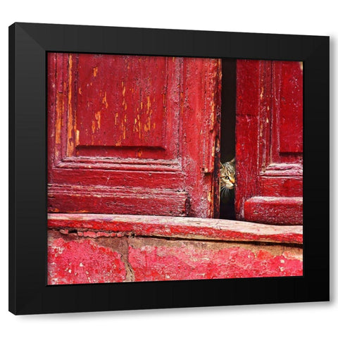 Behind the scene Black Modern Wood Framed Art Print by Elena, Raceala