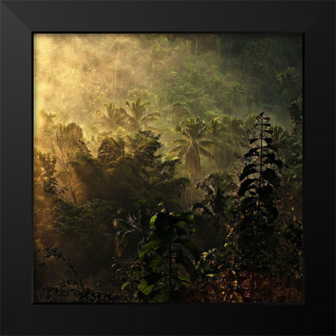 the atmosphere of the morning ..... Black Modern Wood Framed Art Print by Januar, Johanes
