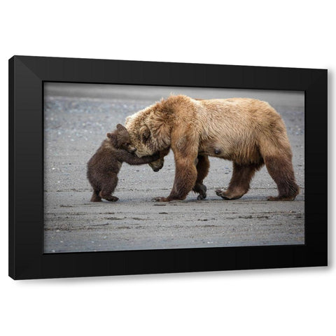 A Little Bear Hug Black Modern Wood Framed Art Print with Double Matting by Doyle, Renee