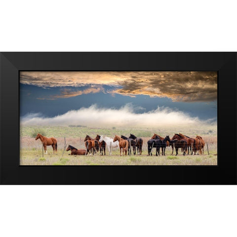 Horses Black Modern Wood Framed Art Print by Peinado, Chechi