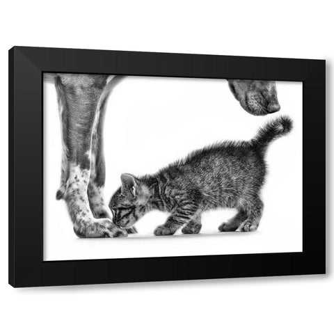 Smell me Black Modern Wood Framed Art Print with Double Matting by Pi (10Catsplus), Monte