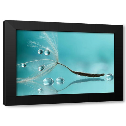 Water Black Modern Wood Framed Art Print with Double Matting by Barbieri, Rina