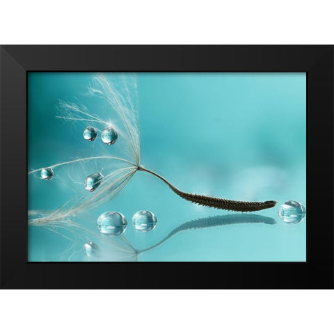 Water Black Modern Wood Framed Art Print by Barbieri, Rina