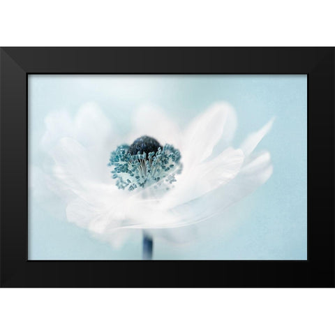 Candy floss Black Modern Wood Framed Art Print by Parker, Jacky