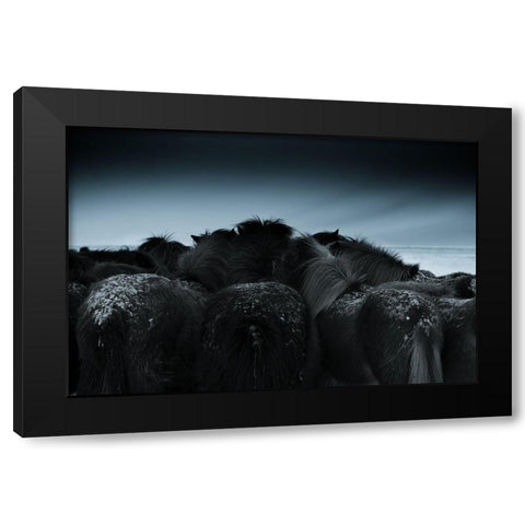 Cold weather Black Modern Wood Framed Art Print with Double Matting by Z, Bingo