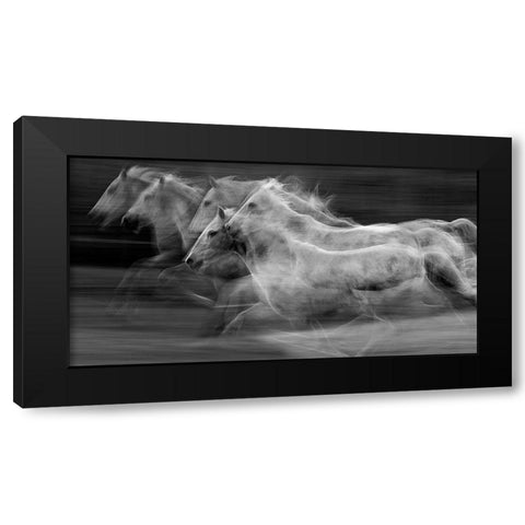 Gallop in the repetition Black Modern Wood Framed Art Print with Double Matting by Malovrh, Milan