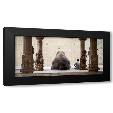 The Elephant and its Mahot Black Modern Wood Framed Art Print with Double Matting by Ruhan
