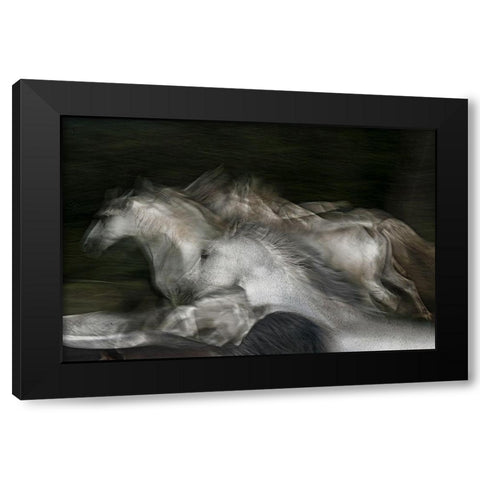 into the dark Black Modern Wood Framed Art Print by Malovrh, Milan