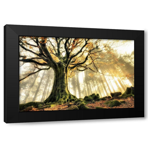 November Black Modern Wood Framed Art Print by Kiciak, Christophe