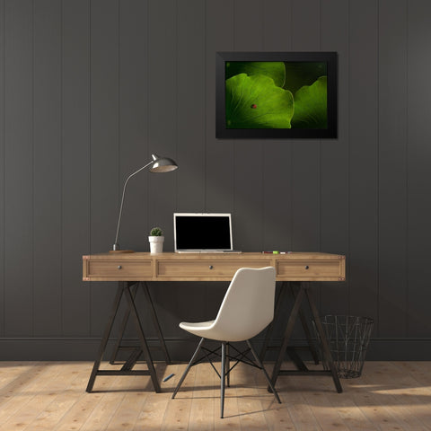 Wanderlust Black Modern Wood Framed Art Print by Bonadio, Heather