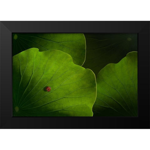 Wanderlust Black Modern Wood Framed Art Print by Bonadio, Heather