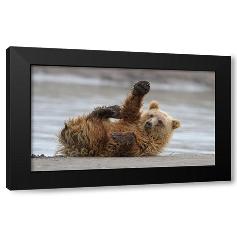 High Five Black Modern Wood Framed Art Print by Forns, Alfred