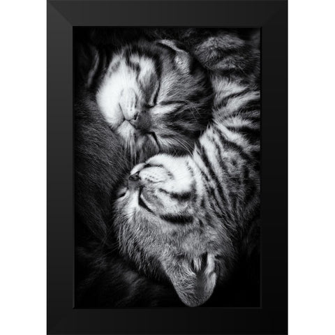 Yin and Yang Black Modern Wood Framed Art Print by Jancova, Andrea