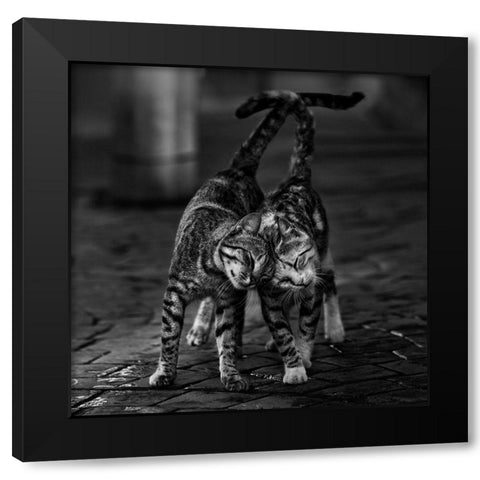 Untitled Black Modern Wood Framed Art Print with Double Matting by Nebula