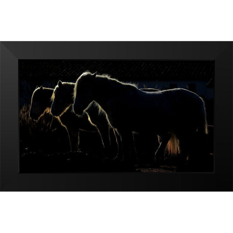 Tripls Black Modern Wood Framed Art Print by Romaggi, Michel